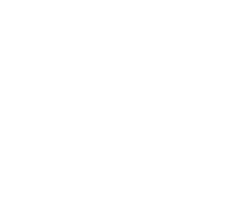 gun